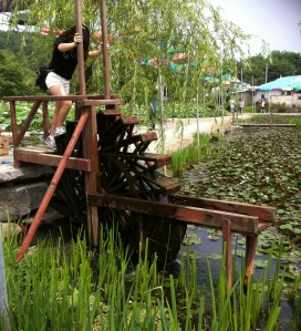 Aquarium_Buyeo Lotus Festival waterwheel redux